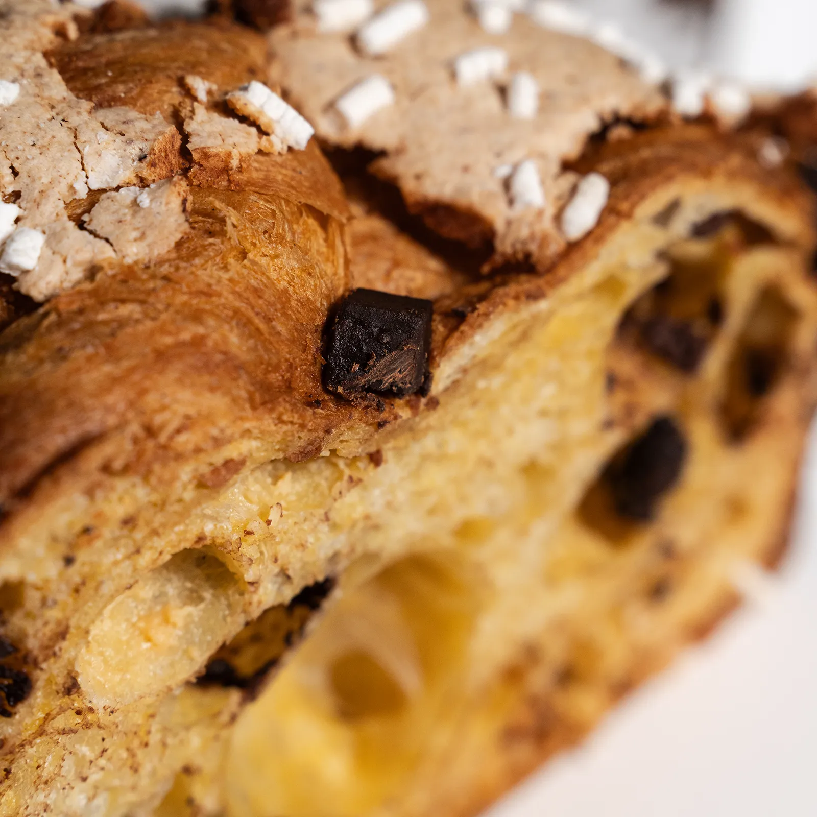 Colomba Cioccolati 02