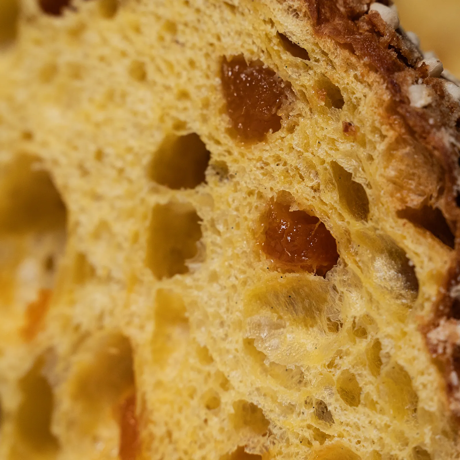 Colomba Vesuviana 03